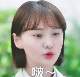 郑爽表情包高清原图