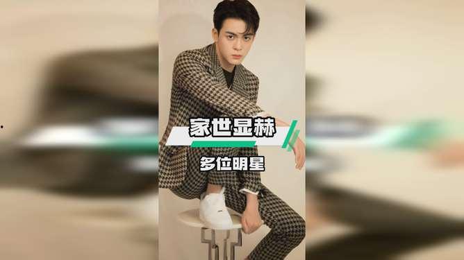 少爷娱乐圈,璀璨星途，闪耀舞台