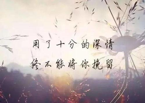 推荐网红的句子,跟随推荐，发现下一个网络红人